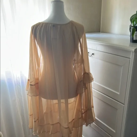 Sheer Tan Ruffle Boho Maxi Dress - Picture 6 of 7